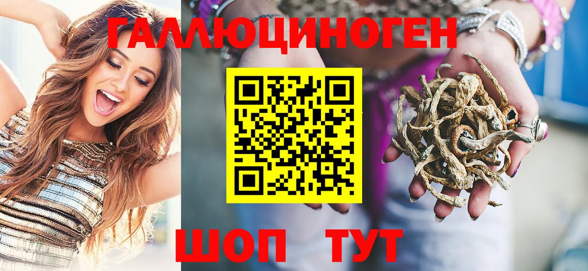 Гусиноозёрск  Псилоцибиновые грибы ЛСД  купить наркотики цена  Псилоцибиновые грибы ЛСД  Вход с VPN 