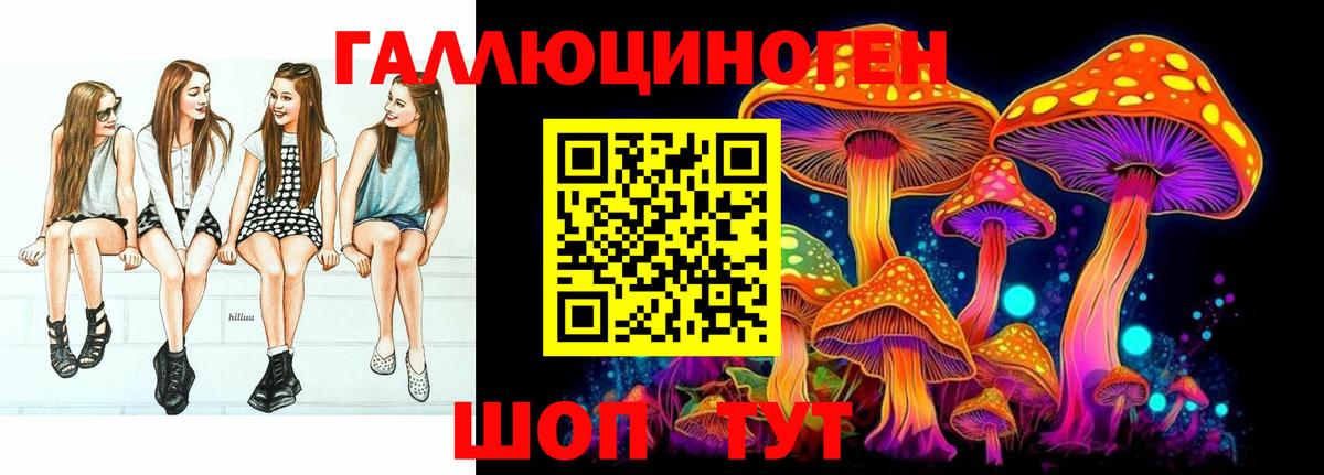 Псилоцибиновые грибы Psilocybe Гусиноозёрск